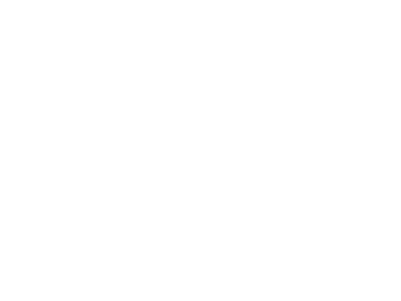 white-chanel