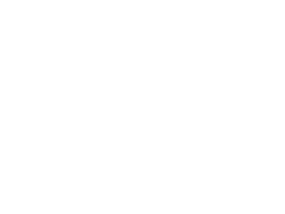 white-estee lauder